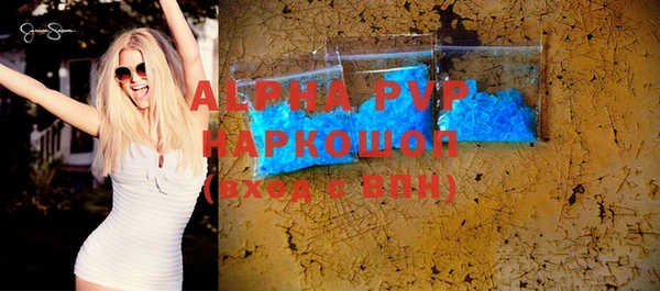 индика Тайга