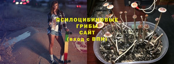 винт Дмитровск