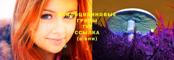 гидра Дмитриев