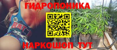 прущие крисы Гусиноозёрск