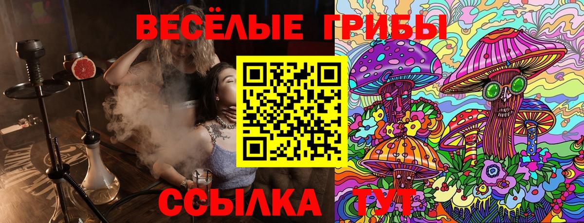 Галлюциногенные грибы GOLDEN TEACHER Заволжье